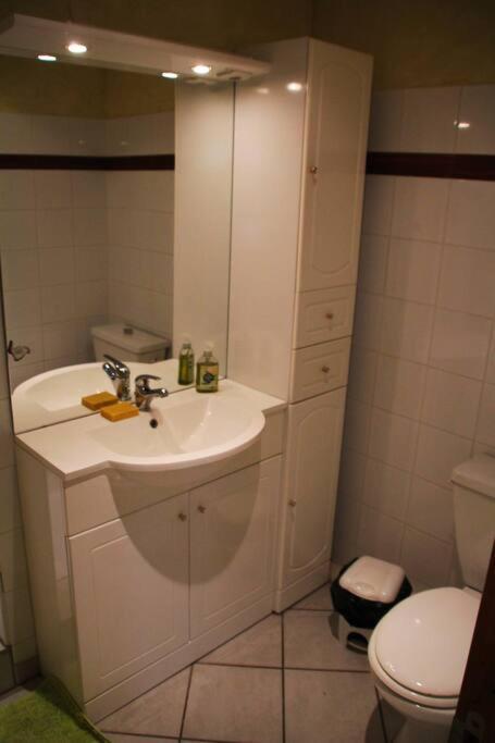 T2 - Centre Apartment Lelex